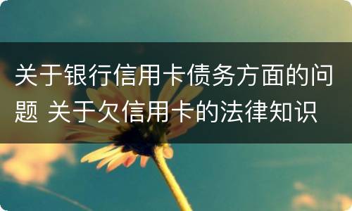 关于银行信用卡债务方面的问题 关于欠信用卡的法律知识