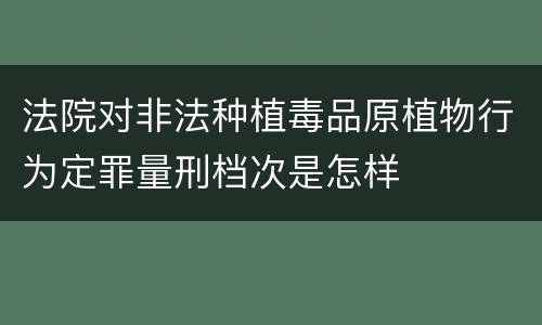 法院对非法种植毒品原植物行为定罪量刑档次是怎样