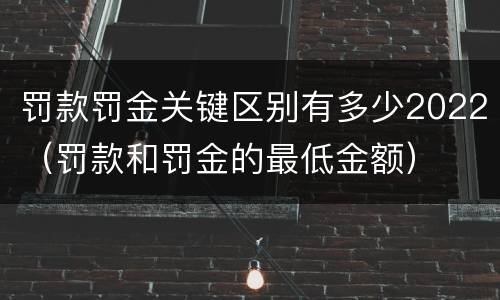 罚款罚金关键区别有多少2022（罚款和罚金的最低金额）