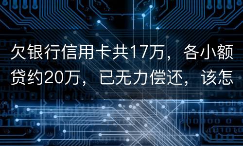 欠银行信用卡共17万，各小额贷约20万，已无力偿还，该怎么办