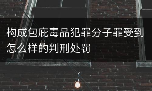 构成包庇毒品犯罪分子罪受到怎么样的判刑处罚