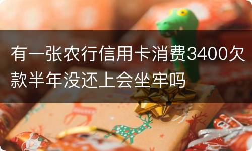 有一张农行信用卡消费3400欠款半年没还上会坐牢吗