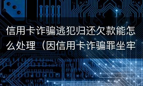 信用卡诈骗逃犯归还欠款能怎么处理（因信用卡诈骗罪坐牢出来的人怎么样了）