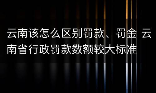 云南该怎么区别罚款、罚金 云南省行政罚款数额较大标准