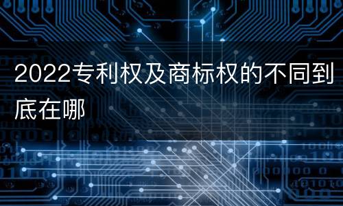 2022专利权及商标权的不同到底在哪