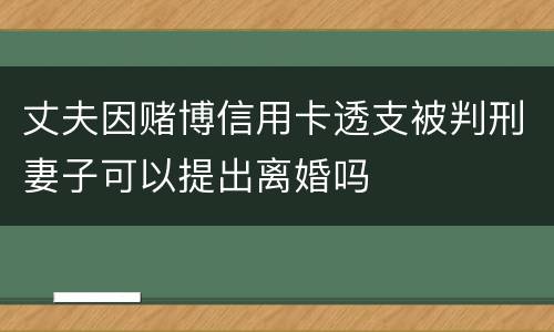 丈夫因赌博信用卡透支被判刑妻子可以提出离婚吗