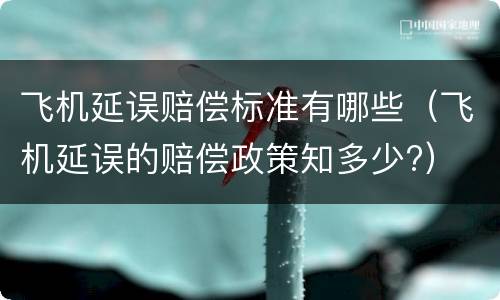 飞机延误赔偿标准有哪些（飞机延误的赔偿政策知多少?）