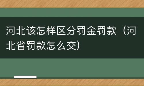 河北该怎样区分罚金罚款（河北省罚款怎么交）