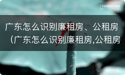 广东怎么识别廉租房、公租房（广东怎么识别廉租房,公租房的真假）