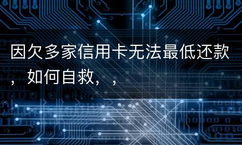 因欠多家信用卡无法最低还款，如何自救，，