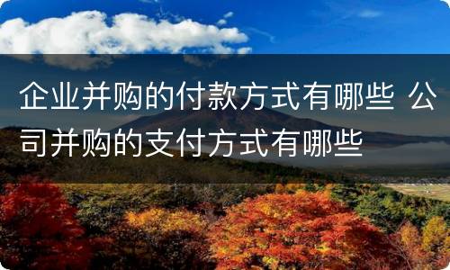 企业并购的付款方式有哪些 公司并购的支付方式有哪些