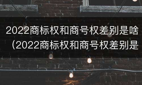 2022商标权和商号权差别是啥（2022商标权和商号权差别是啥呀）