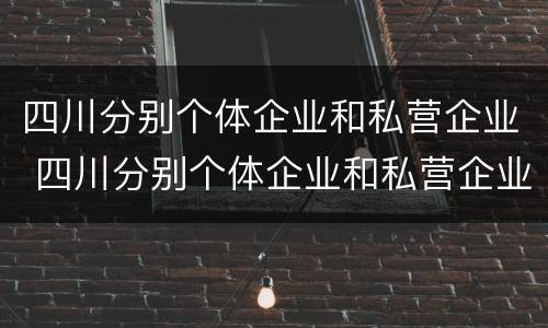 四川分别个体企业和私营企业 四川分别个体企业和私营企业的区别