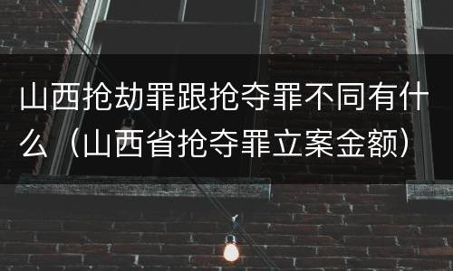 山西抢劫罪跟抢夺罪不同有什么（山西省抢夺罪立案金额）