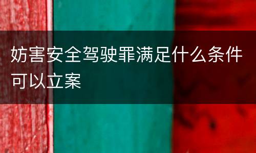 妨害安全驾驶罪满足什么条件可以立案