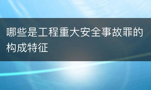 哪些是工程重大安全事故罪的构成特征