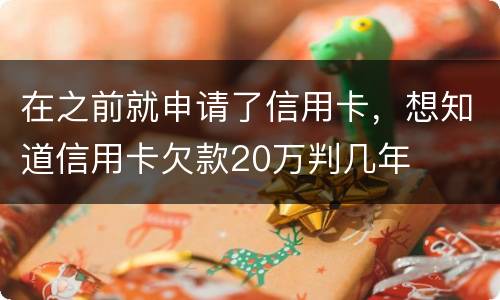 在之前就申请了信用卡，想知道信用卡欠款20万判几年