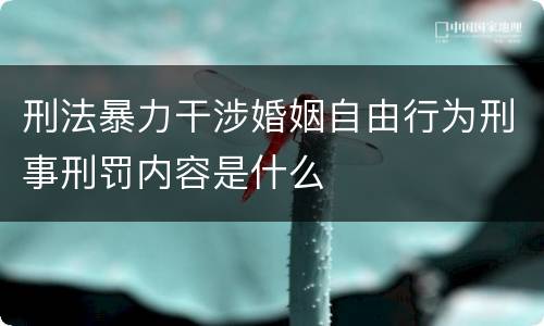 刑法暴力干涉婚姻自由行为刑事刑罚内容是什么