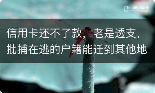 信用卡还不了款，老是透支，批捕在逃的户籍能迁到其他地方吗