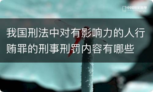 我国刑法中对有影响力的人行贿罪的刑事刑罚内容有哪些