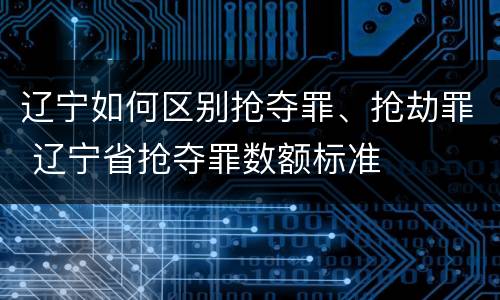 辽宁如何区别抢夺罪、抢劫罪 辽宁省抢夺罪数额标准