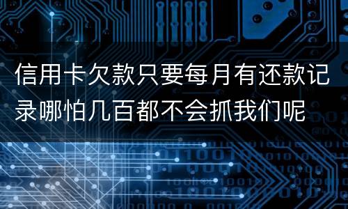 信用卡欠款只要每月有还款记录哪怕几百都不会抓我们呢