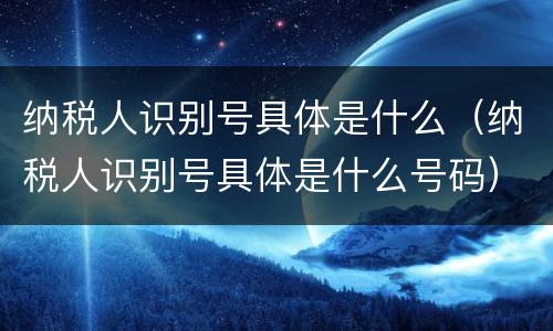 纳税人识别号具体是什么（纳税人识别号具体是什么号码）