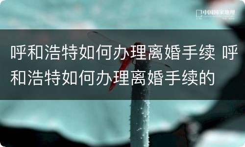 呼和浩特如何办理离婚手续 呼和浩特如何办理离婚手续的