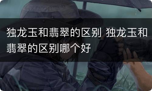 独龙玉和翡翠的区别 独龙玉和翡翠的区别哪个好