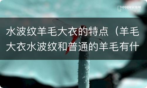 水波纹羊毛大衣的特点（羊毛大衣水波纹和普通的羊毛有什么区别）