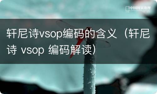 轩尼诗vsop编码的含义（轩尼诗 vsop 编码解读）