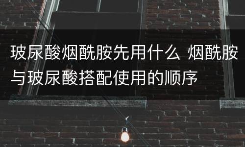 玻尿酸烟酰胺先用什么 烟酰胺与玻尿酸搭配使用的顺序