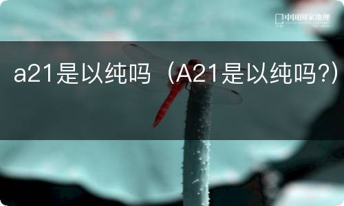 a21是以纯吗（A21是以纯吗?）