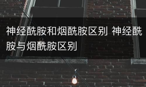 神经酰胺和烟酰胺区别 神经酰胺与烟酰胺区别