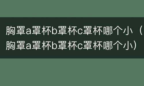 胸罩a罩杯b罩杯c罩杯哪个小（胸罩a罩杯b罩杯c罩杯哪个小）