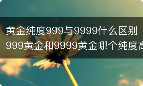 黄金纯度999与9999什么区别（999黄金和9999黄金哪个纯度高）