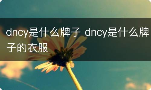 dncy是什么牌子 dncy是什么牌子的衣服