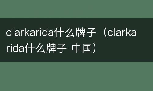 clarkarida什么牌子（clarkarida什么牌子 中国）