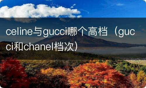 celine与gucci哪个高档（gucci和chanel档次）