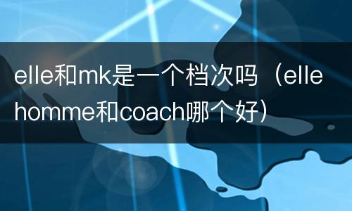 elle和mk是一个档次吗（ellehomme和coach哪个好）