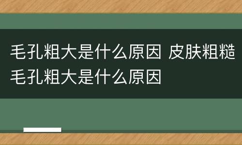 毛孔粗大是什么原因 皮肤粗糙毛孔粗大是什么原因