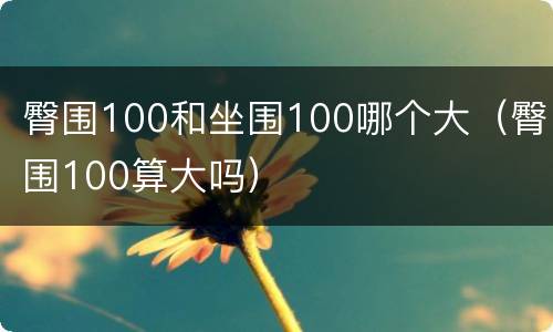 臀围100和坐围100哪个大（臀围100算大吗）