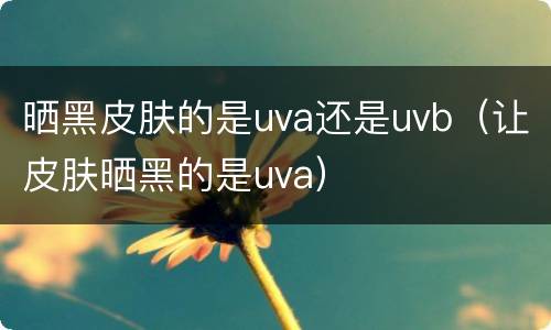 晒黑皮肤的是uva还是uvb（让皮肤晒黑的是uva）