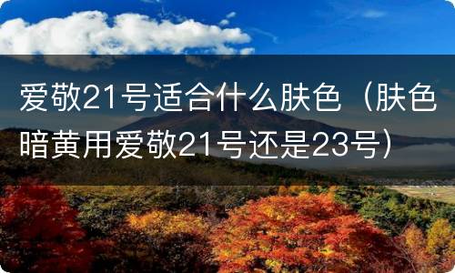 爱敬21号适合什么肤色（肤色暗黄用爱敬21号还是23号）