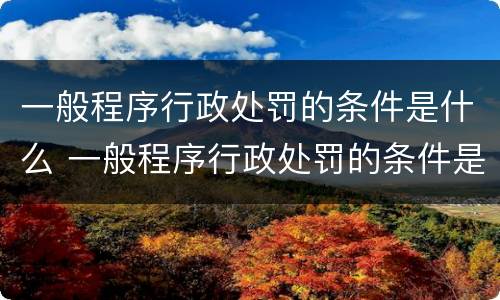 一般程序行政处罚的条件是什么 一般程序行政处罚的条件是什么意思