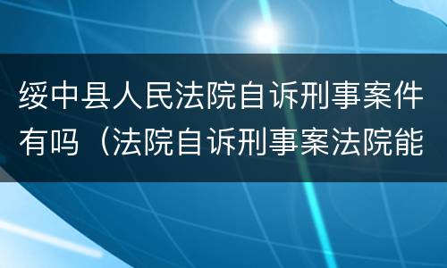 绥中县人民法院自诉刑事案件有吗（法院自诉刑事案法院能抓人吗）