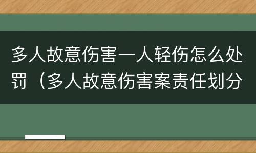 多人故意伤害一人轻伤怎么处罚（多人故意伤害案责任划分）