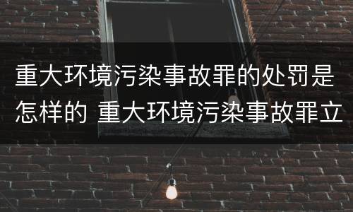 重大环境污染事故罪的处罚是怎样的 重大环境污染事故罪立案标准