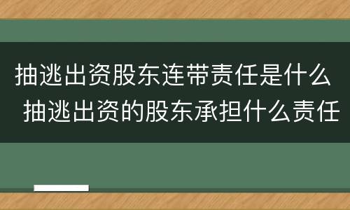 抽逃出资股东连带责任是什么 抽逃出资的股东承担什么责任