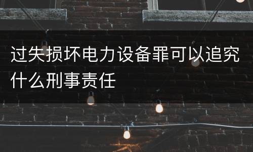 过失损坏电力设备罪可以追究什么刑事责任